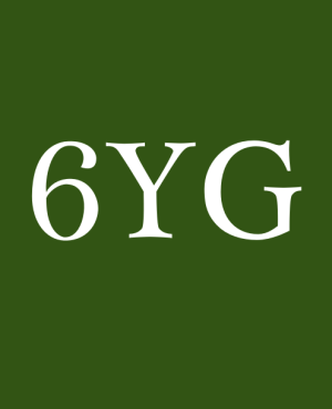 Màu Nhuộm Tesla | Mã Màu 6YG