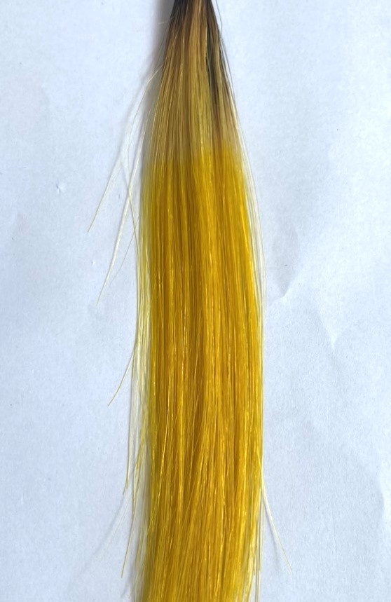 nhuộm tóc mã màu YELLOW