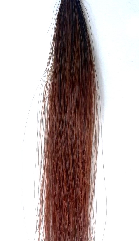 nhuộm tóc mã màu 6/51