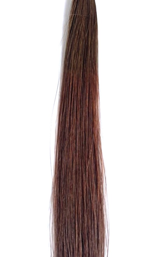 nhuộm tóc mã màu 6/5