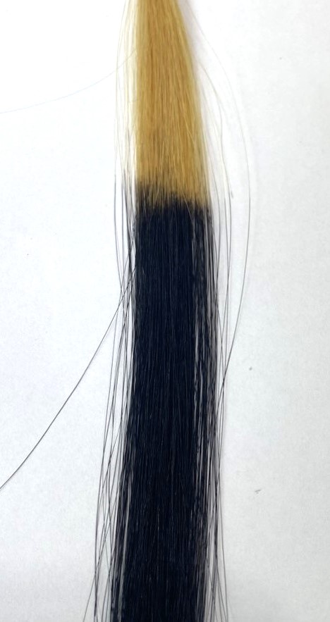 nhuộm tóc mã màu 2/0